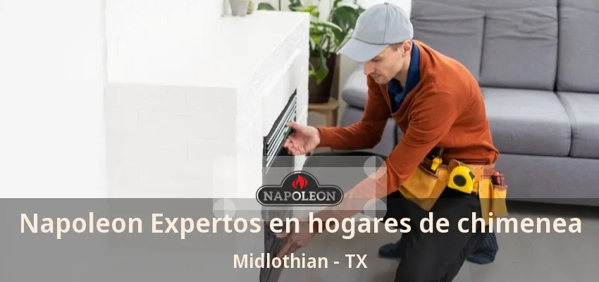 Napoleon Expertos en hogares de chimenea Midlothian - TX Napoleon Expertos en hogares de chimenea Midlothian - TX